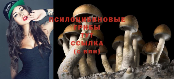 мескалин Пестово