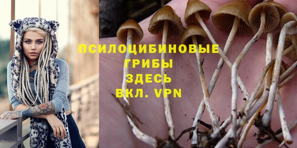 прущая мука Покровск