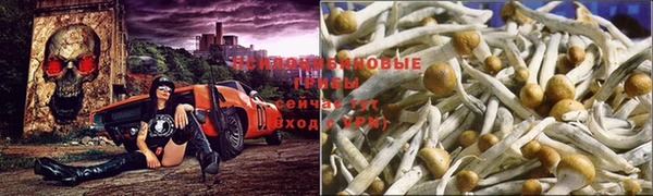 наркотики Покров