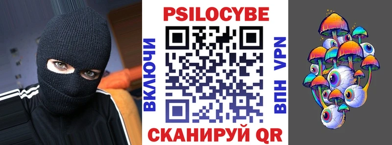 Галлюциногенные грибы Psilocybe Красный Кут