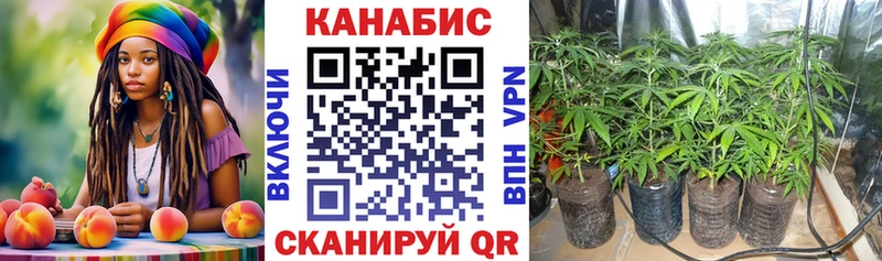 Бошки марихуана MAZAR  Купить  Красный Кут 